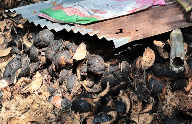 Samut Songkhram Province: the Trail of Coconut Orchards and Sea Salt Fields – Full-Day Tour - Foto 7